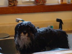 Rags - bath