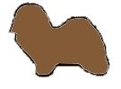 dog displays chocolate